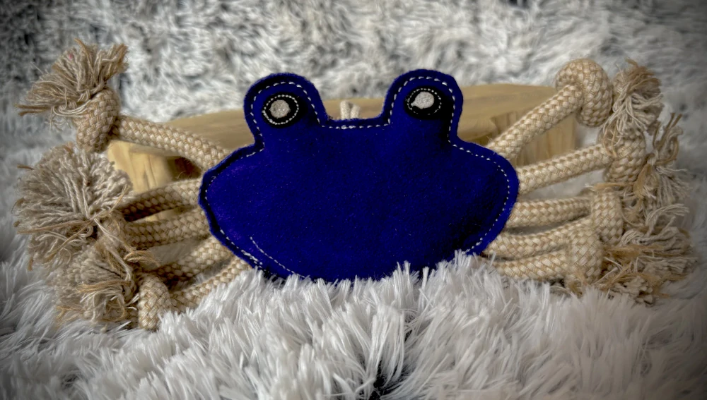 MODRÝ KRAB