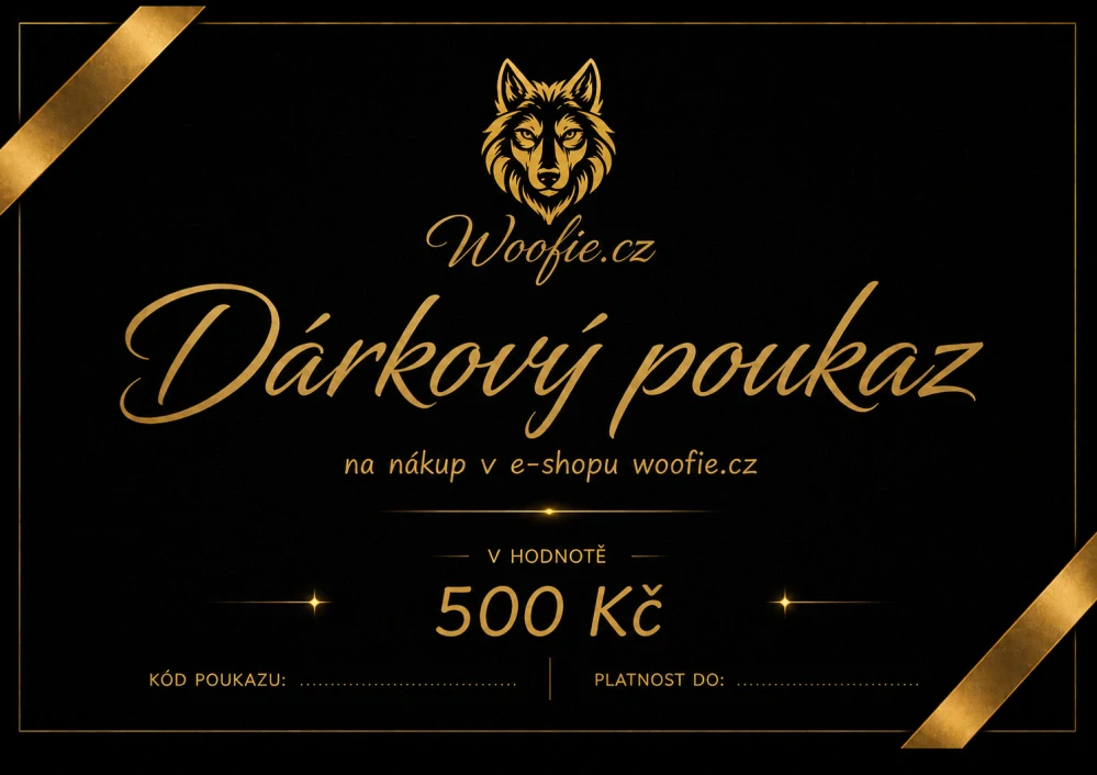 DÁRKOVÝ POUKAZ 500 KČ