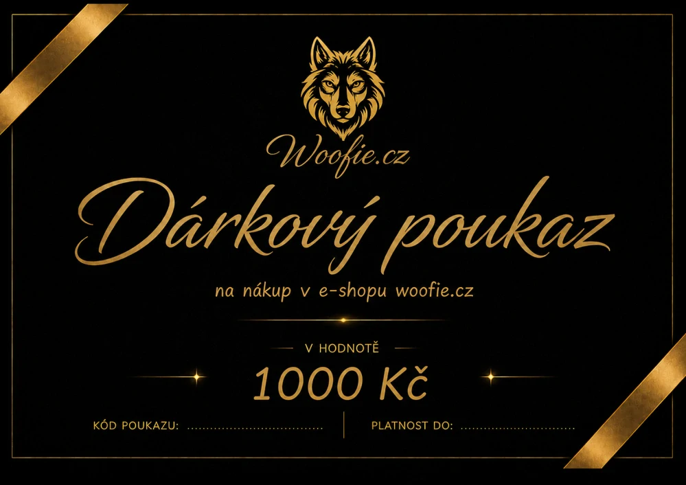 DÁRKOVÝ POUKAZ 1000 KČ