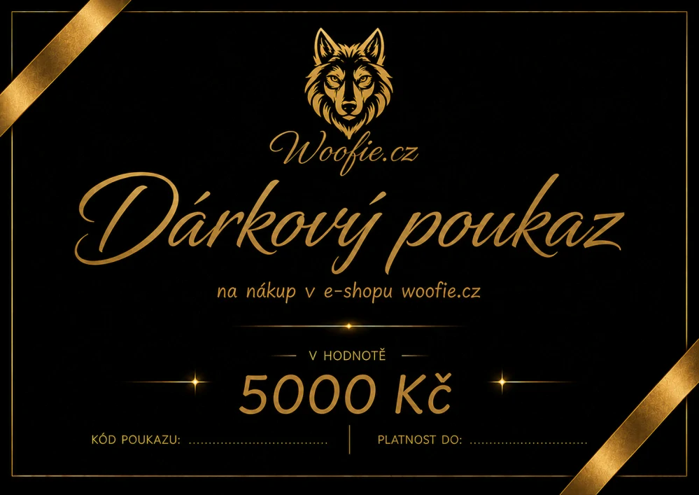 DÁRKOVÝ POUKAZ 5000 KČ