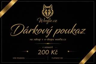 DÁRKOVÝ POUKAZ 200 KČ