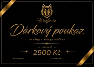 DÁRKOVÝ POUKAZ 2500 KČ 